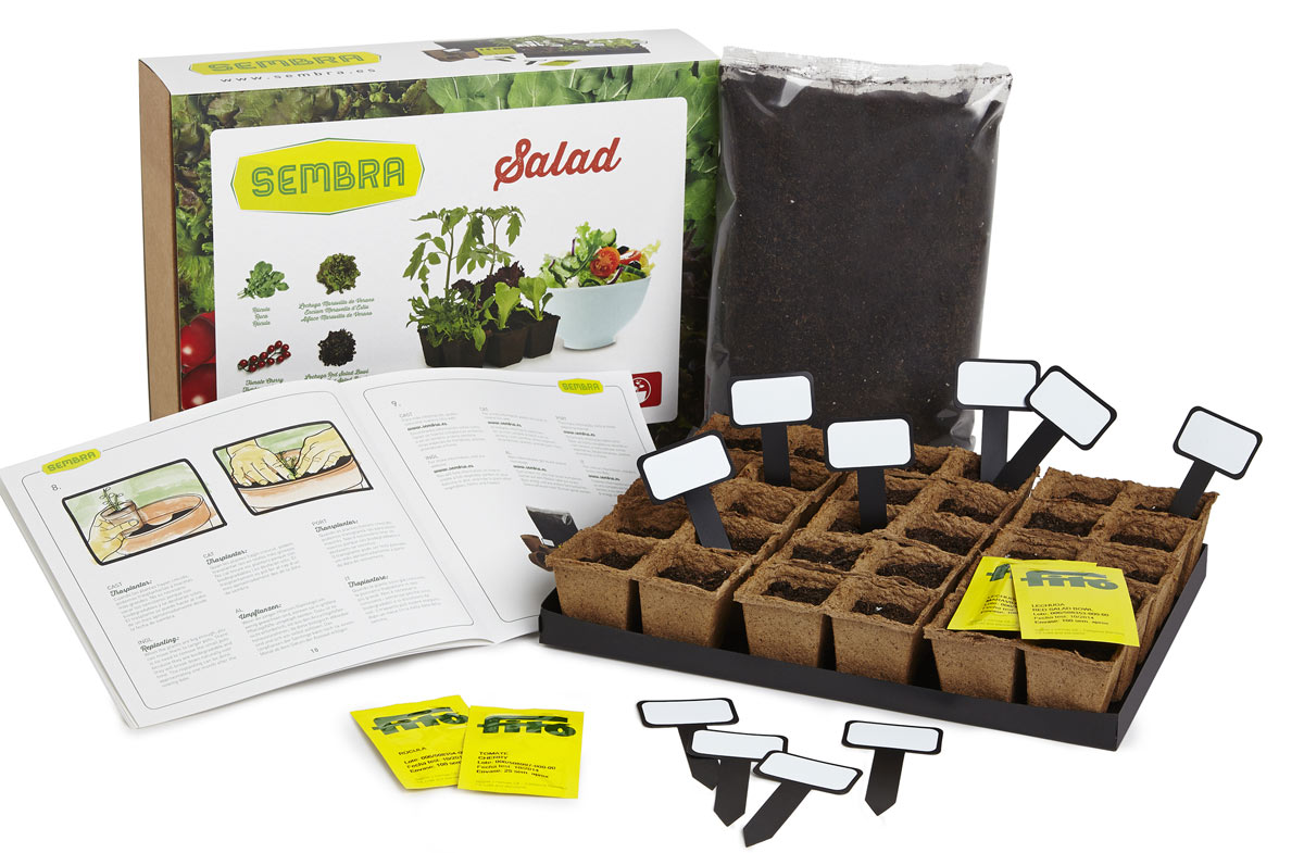 Kit Para Cultivar Tu Propia Ensalada En Regalador