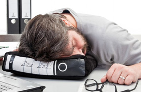 Cojín para la siesta con forma de archivador