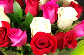 Ramo de rosas rojas, rosas y blancas