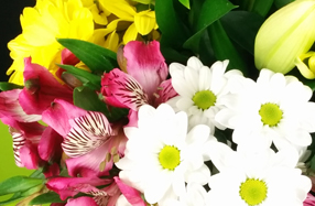 Ramo de flores variadas