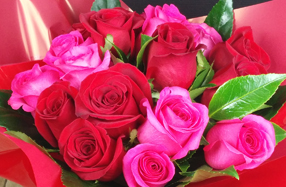 Ramo bicolor de rosas rojas y rosas