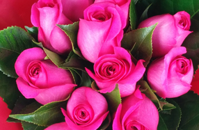 Ramo de rosas tierno y romántico