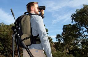 Lowepro Scope Porter 200 AW: para fotógrafos de aves