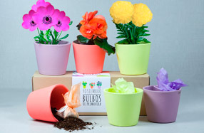 Cultiva y decora con tus plantas de colores