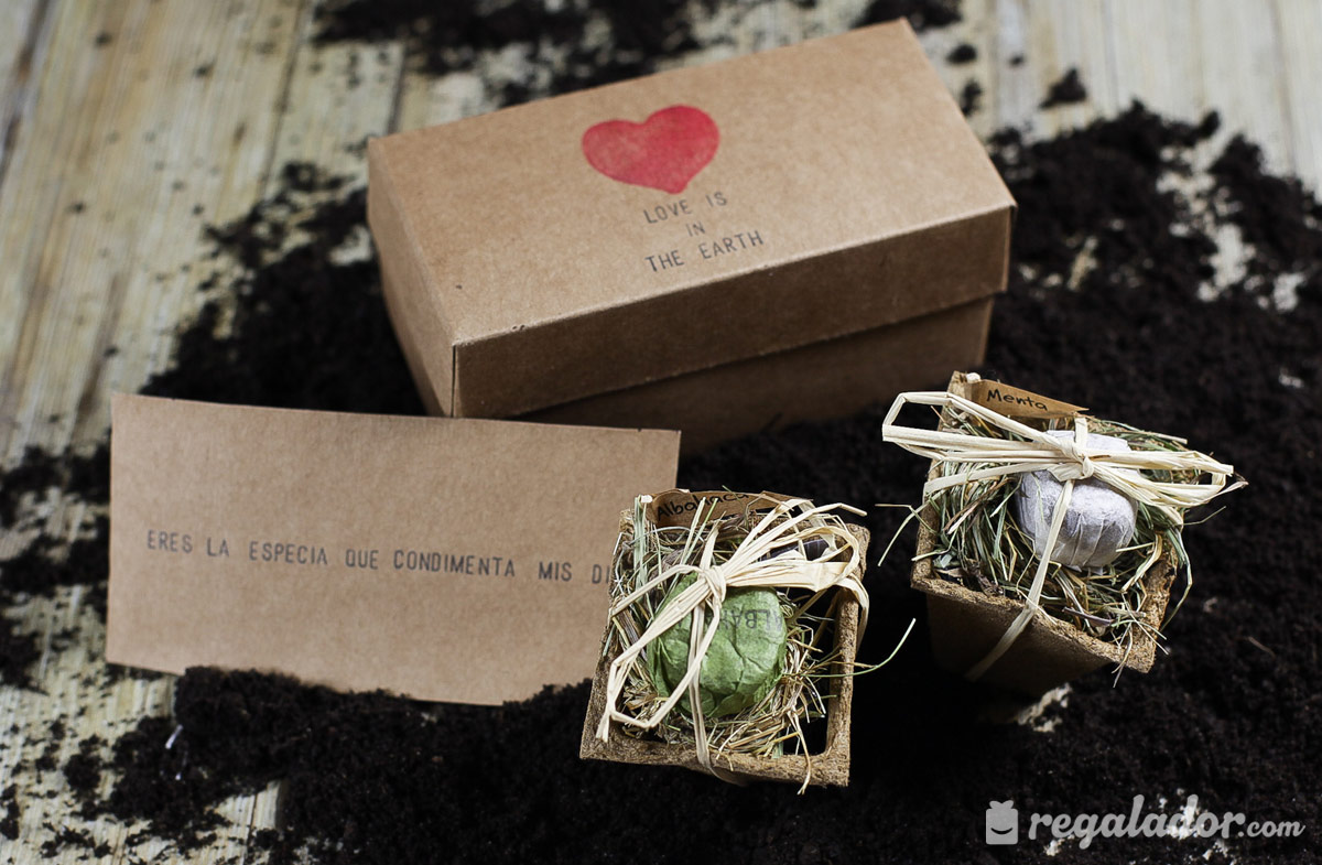 Caja “Love is the Earth” para jardineros románticos