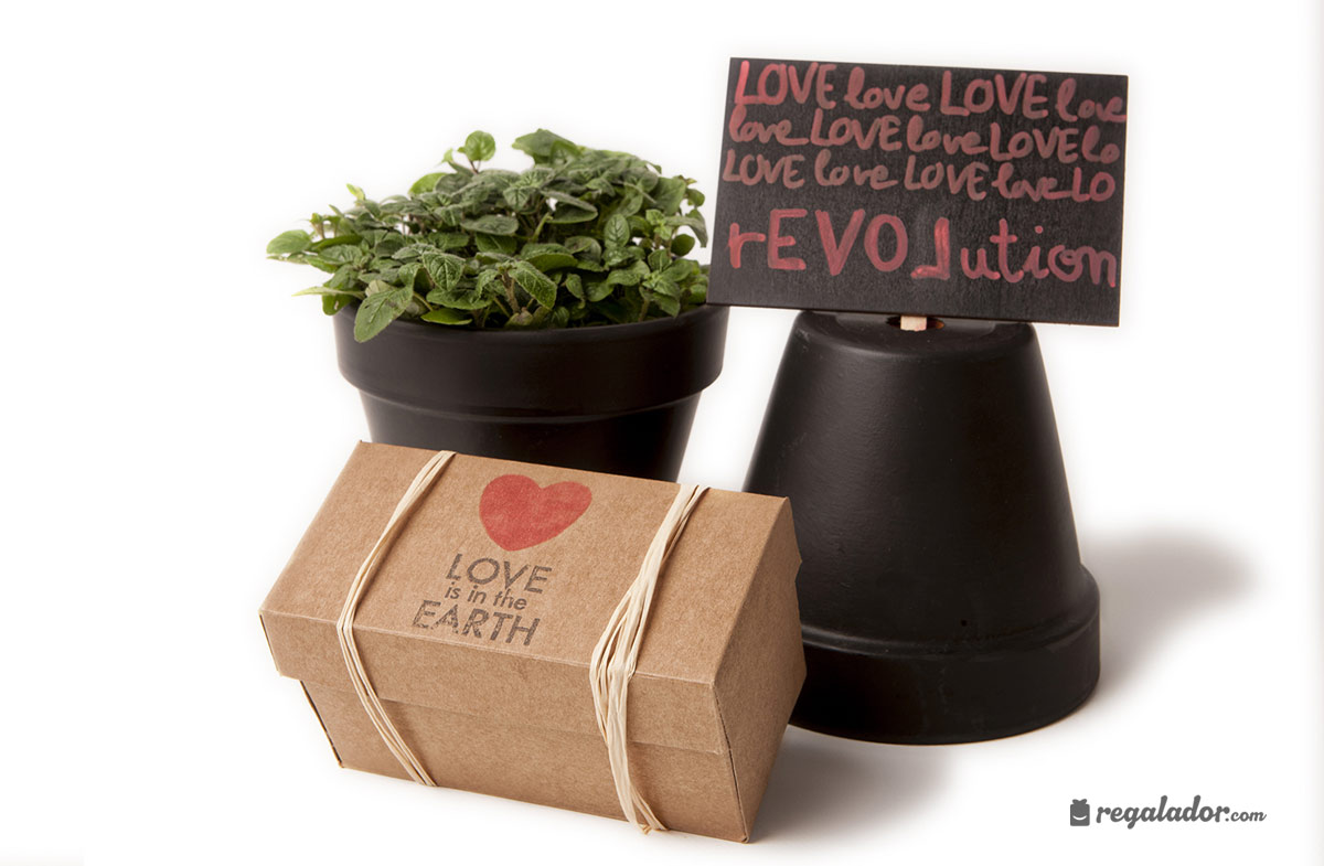 Caja “Love is the Earth” para jardineros románticos