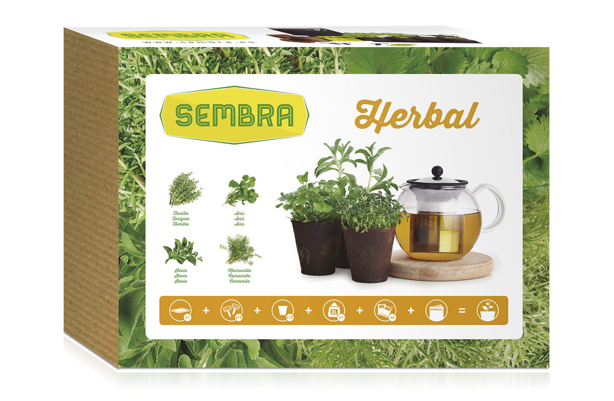 Kit para cultivar tus propias infusiones