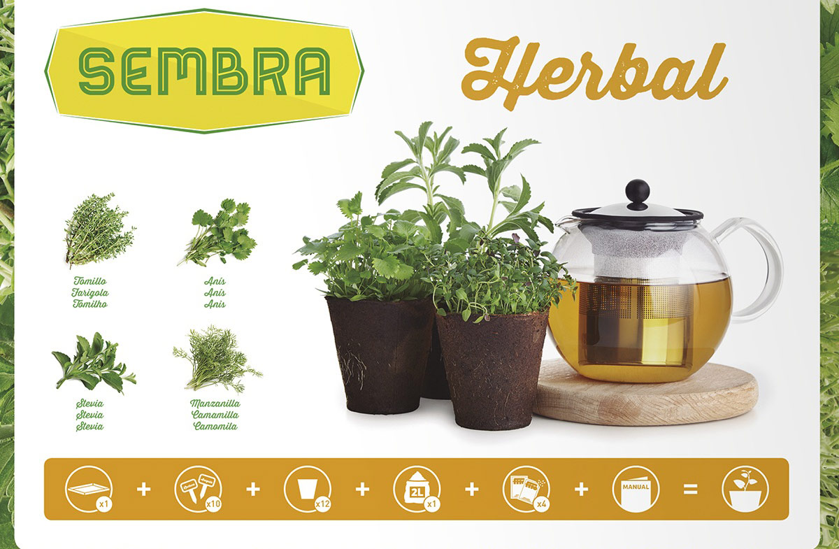 Kit para cultivar tus propias infusiones