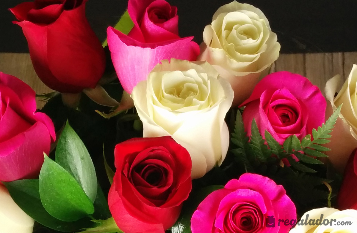 Ramo de rosas rojas, rosas y blancas