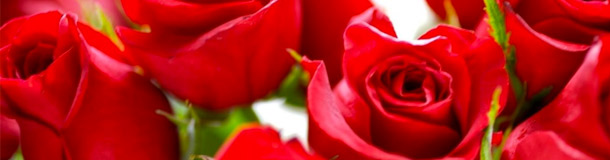 Los Ramos de Rosas más románticos