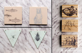 Kit DIY de transferencia de imágenes