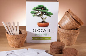 Kit para plantar tu propio Bonsái