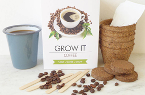 Kit para cultivar tu propia planta con aroma a café