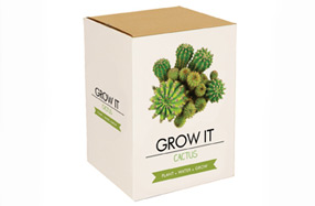 Kit de cultivo de cactus