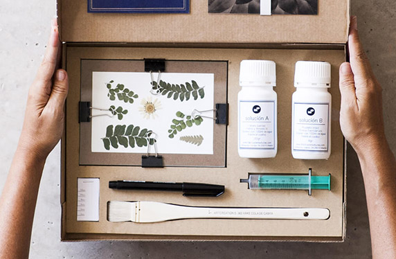 Kit de revelado fotográfico estilo cianotipia