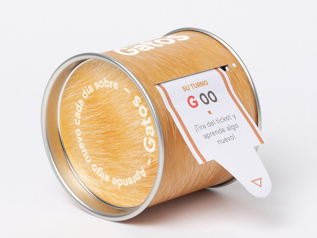 Aprende algo nuevo de gatos todos los días