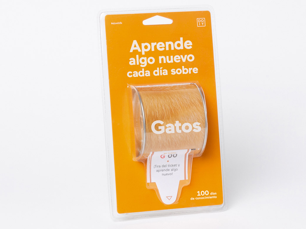 Aprende algo nuevo de gatos todos los días