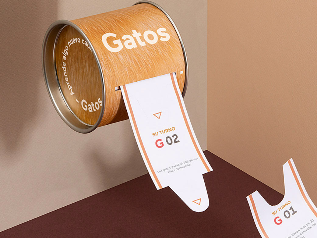 Aprende algo nuevo de gatos todos los días