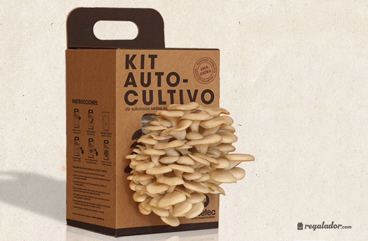 Kit de autocultivo ecológico de setas