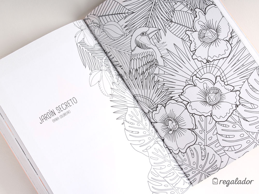 ‘Desconecta’: actividades para hiperconectados