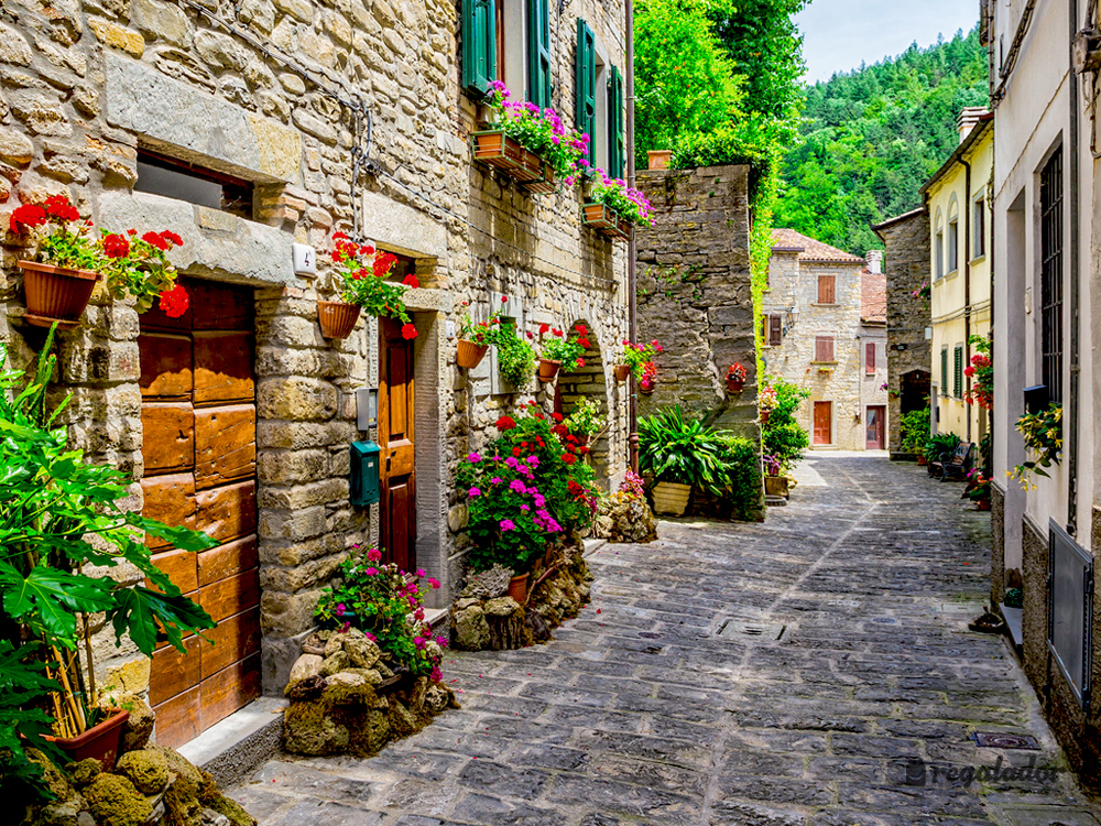 Baby’n’Joy: Estancias familiares con desayunos