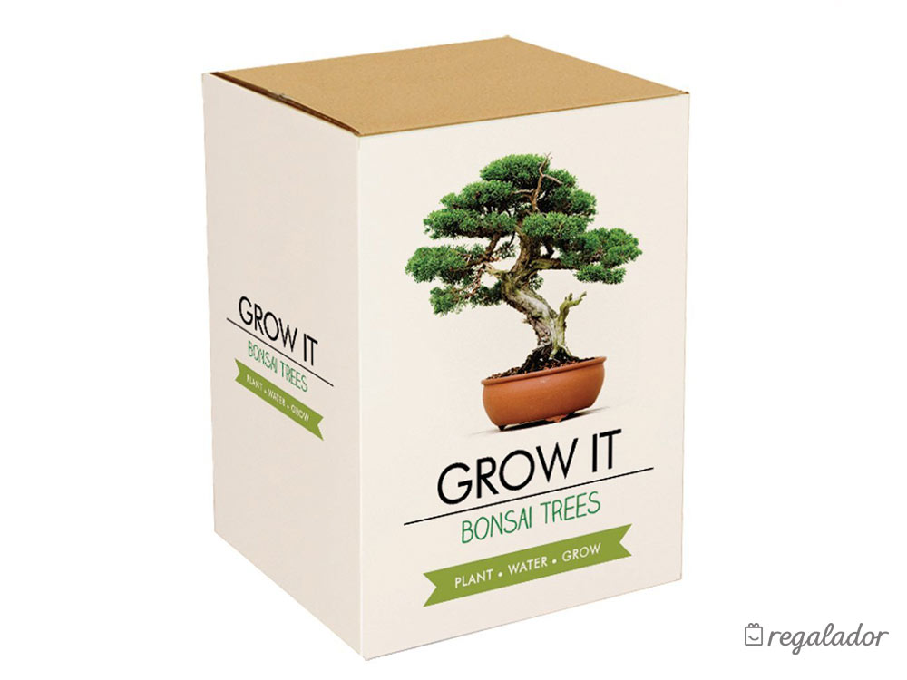 Kit para plantar tu propio Bonsái