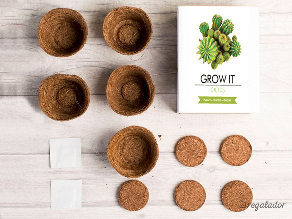 Kit de cultivo de cactus