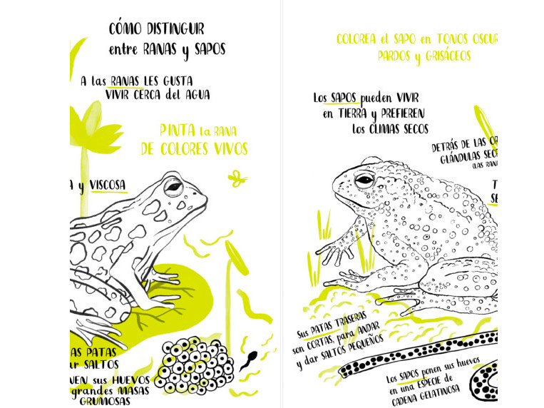 “Hola Natura”, el libro para conectar con la naturaleza