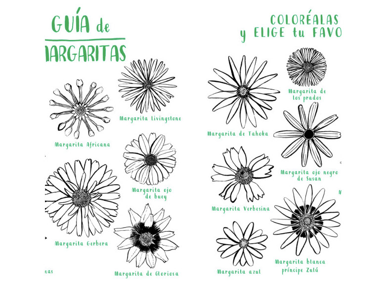 “Hola Natura”, el libro para conectar con la naturaleza