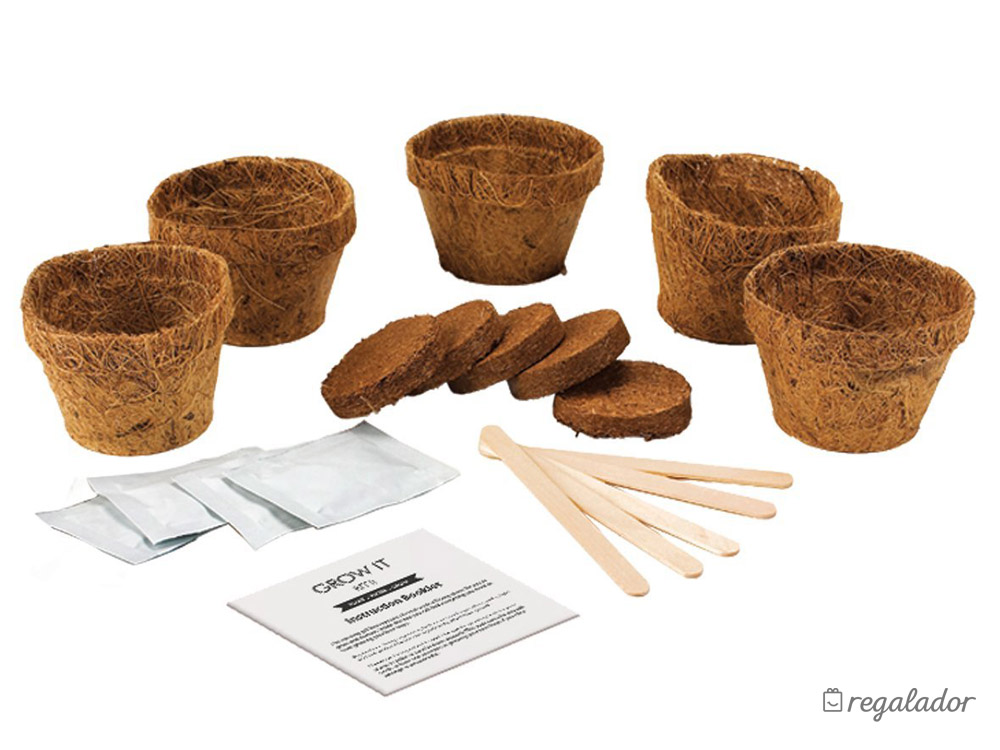 Kit para cultivar tu propia planta de cerveza