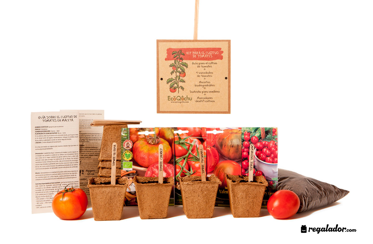 Kit ecológico para cultivar tomates