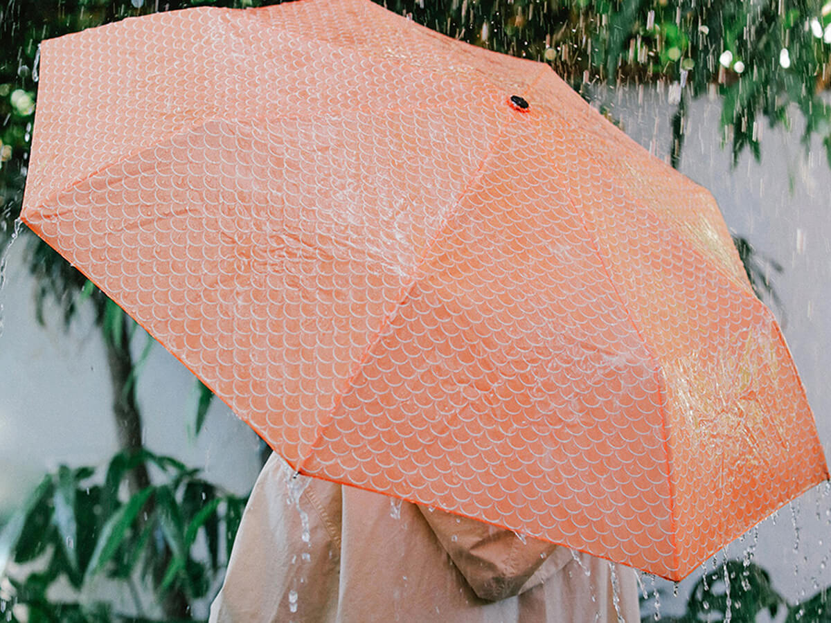 Paraguas plegable con forma de pez KOI